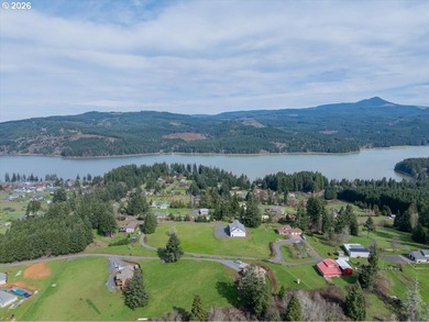 FOSTER LAKE VIEW opportunity! 50x70 RV Sized shop with 3 - 14x14 - photo 31