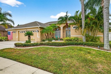 Lake Home For Sale in Riverview, Florida