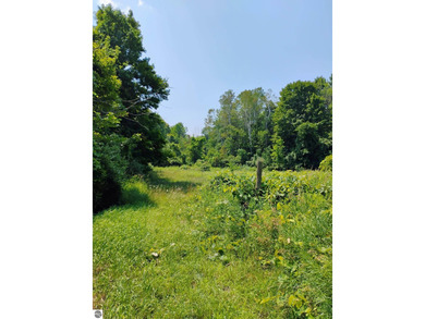 (private lake, pond, creek) Acreage For Sale in Traverse City Michigan