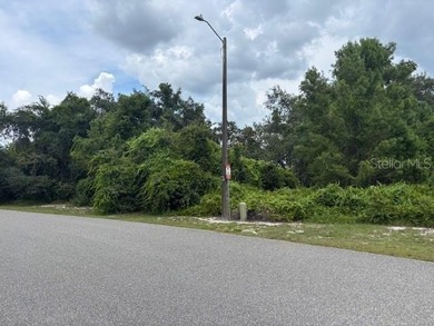Lake Lot For Sale in Haines City, Florida