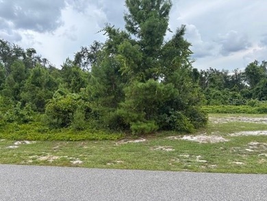 Lake Lot For Sale in Haines City, Florida
