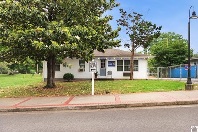 Located in the heart of Grand Rivers, this 3-bedroom, 1 - photo 1
