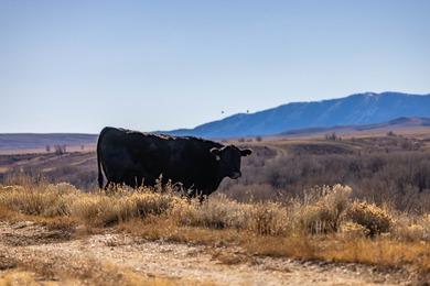 Elk Mountain Ranch consists of 4215 deeded acres and a 640 acre - photo 14
