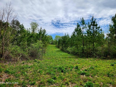 Come set your eyes on your future homesite at The Retreat at - photo 1