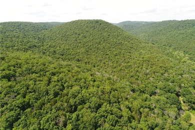 Discover a rare investment paradise overlooking the White River - photo 22