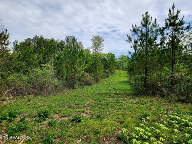 Come set your eyes on your future homesite at The Retreat at - photo 2