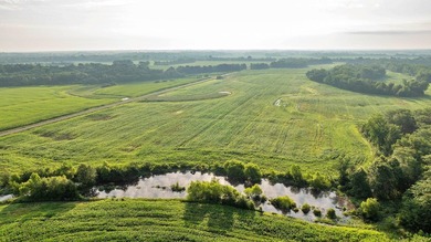 The River Bend Bottoms Farm offers 429 +/- acres with a rare - photo 22