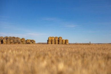 Elk Mountain Ranch consists of 4215 deeded acres and a 640 acre - photo 23