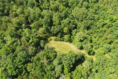 Discover a rare investment paradise overlooking the White River - photo 24