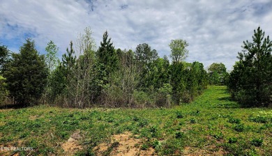 Come set your eyes on your future homesite at The Retreat at - photo 4