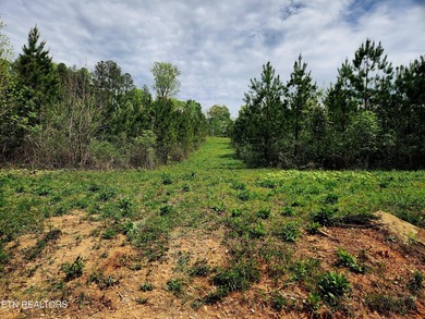 Come set your eyes on your future homesite at The Retreat at - photo 5