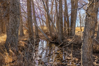 Elk Mountain Ranch consists of 4215 deeded acres and a 640 acre - photo 25