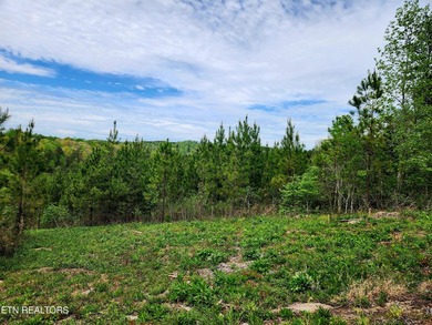 Come set your eyes on your future homesite at The Retreat at - photo 6