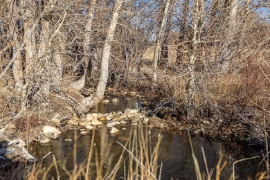 Elk Mountain Ranch consists of 4215 deeded acres and a 640 acre - photo 26