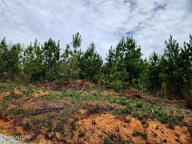 Come set your eyes on your future homesite at The Retreat at - photo 8