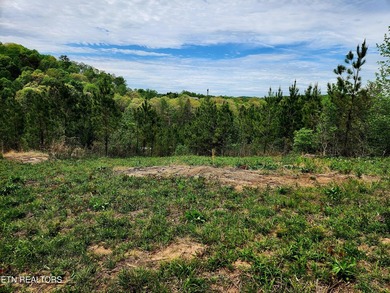 Come set your eyes on your future homesite at The Retreat at - photo 9