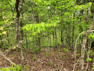 Come set your eyes on your future homesite at The Retreat at - photo 10