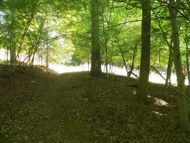 (private lake, pond, coastal) Acreage For Sale in Clover South Carolina
