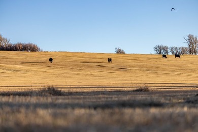 Elk Mountain Ranch consists of 4215 deeded acres and a 640 acre - photo 33