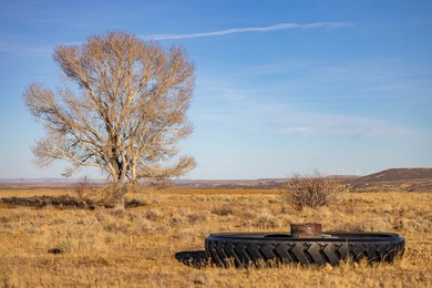 Elk Mountain Ranch consists of 4215 deeded acres and a 640 acre - photo 35