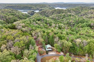 Calling all Dale Hollow Lake lovers! This charming and spacious - photo 40