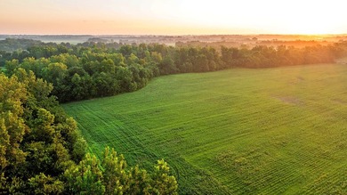 The River Bend Bottoms Farm offers 429 +/- acres with a rare - photo 44