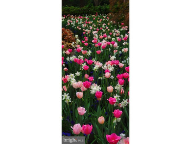 Welcome to the landscaped splendor of Ballantrae Farm, set - photo 44