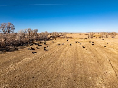Elk Mountain Ranch consists of 4215 deeded acres and a 640 acre - photo 48