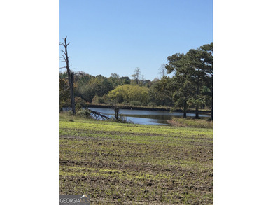 (private lake, pond, creek) Acreage For Sale in Senoia Georgia