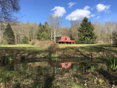 Trojan Lake Home For Sale in Livingston Manor New York
