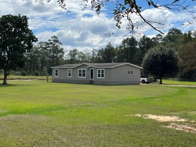 Lake Home For Sale in Buckatunna, Mississippi