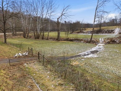 77.09 acres for sale in Ritchie County, West Virginia. Don't - photo 2