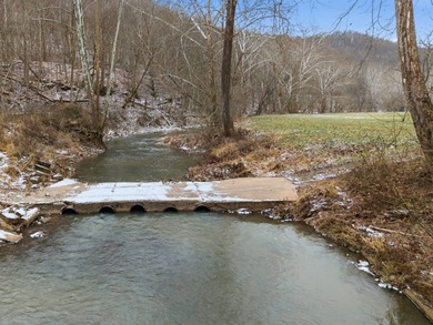 77.09 acres for sale in Ritchie County, West Virginia. Don't - photo 6