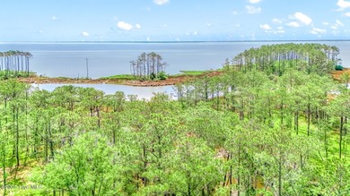Neuse River Acreage For Sale in Oriental North Carolina