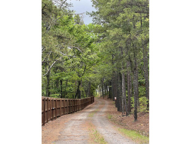 Hidden behind an iron gate, this 93+/- acre luxury estate offers - photo 42