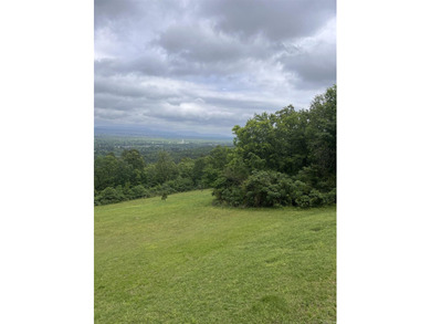 Hidden behind an iron gate, this 93+/- acre luxury estate offers - photo 44