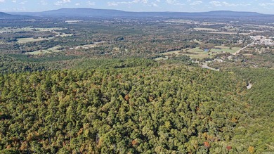 Hidden behind an iron gate, this 93+/- acre luxury estate offers - photo 48