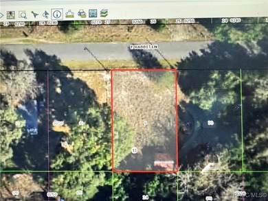 Tsala Apopka Chain of Lakes Lot Sale Pending in Floral City Florida