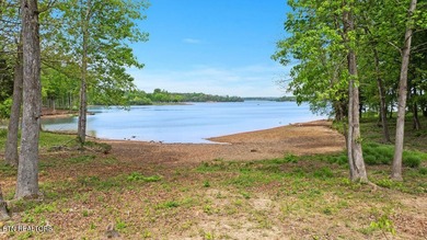 Introducing a beautifully crafted 2023 custom lakefront home in - photo 3