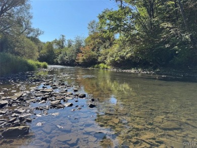 Lake Acreage Sale Pending in Franklinville, New York