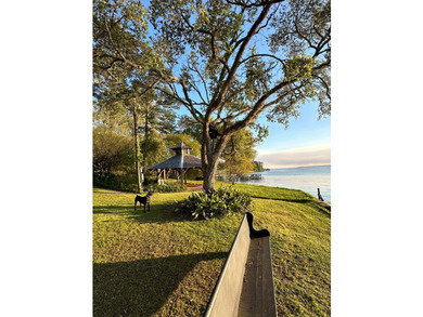 Sellers are a motivated military family. Discover an exceptional - photo 18