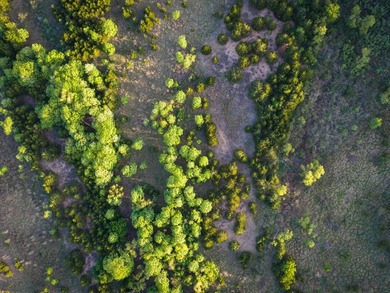 Introducing The Canadian River Ranch, 2,008 +/- acres located in - photo 33