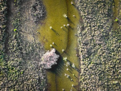 Introducing The Canadian River Ranch, 2,008 +/- acres located in - photo 37