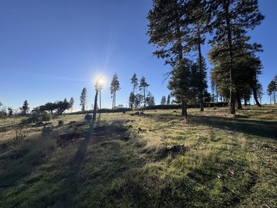 Welcome to this 3-bedroom, 2-bathroom home in Oroville offering - photo 3