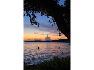 Sellers are a motivated military family. Discover an exceptional - photo 44