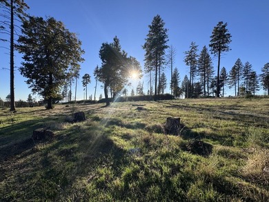 Welcome to this 3-bedroom, 2-bathroom home in Oroville offering - photo 5
