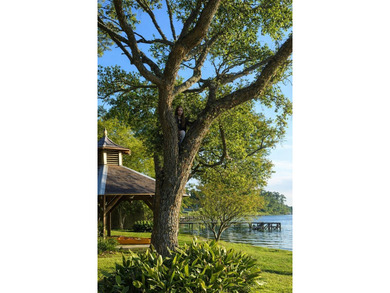 Sellers are a motivated military family. Discover an exceptional - photo 47