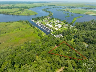 (private lake, pond, coastal) Lot For Sale in Richmond Hill Georgia
