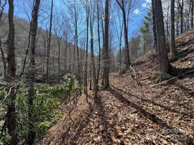 (private lake, pond, creek) Lot For Sale in Whittier North Carolina