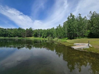 Lake Lot For Sale in Elmira, Michigan
